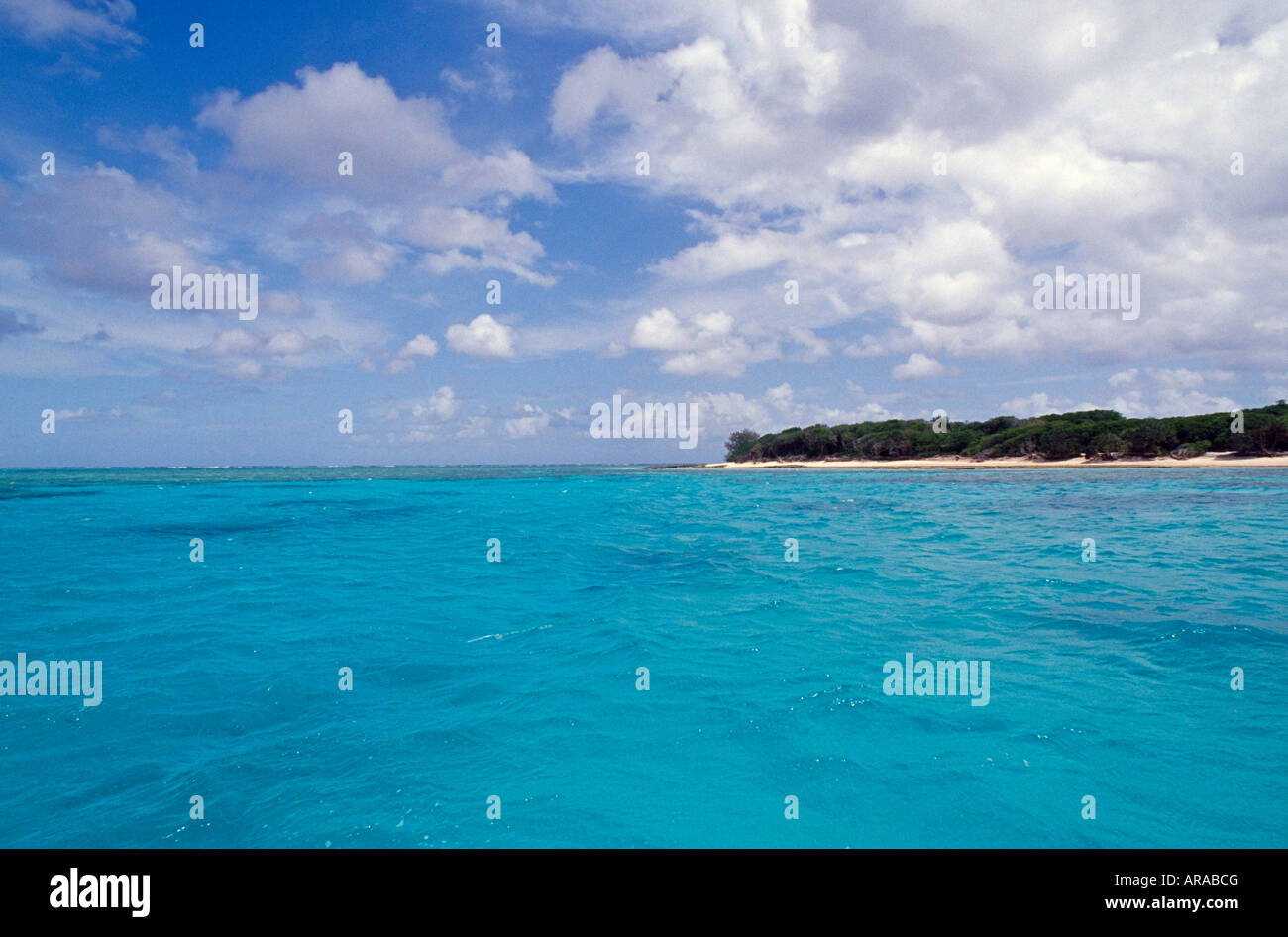 Lagoon at Lady Musgrave Island Great Barrier Reef Queensland Stock Photo