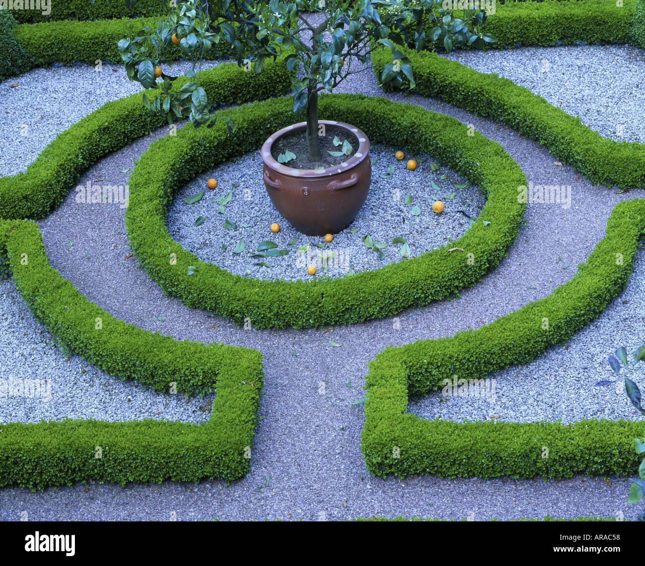 Looking down on the Parterre in the gardens at Overbecks Devon Stock Photo