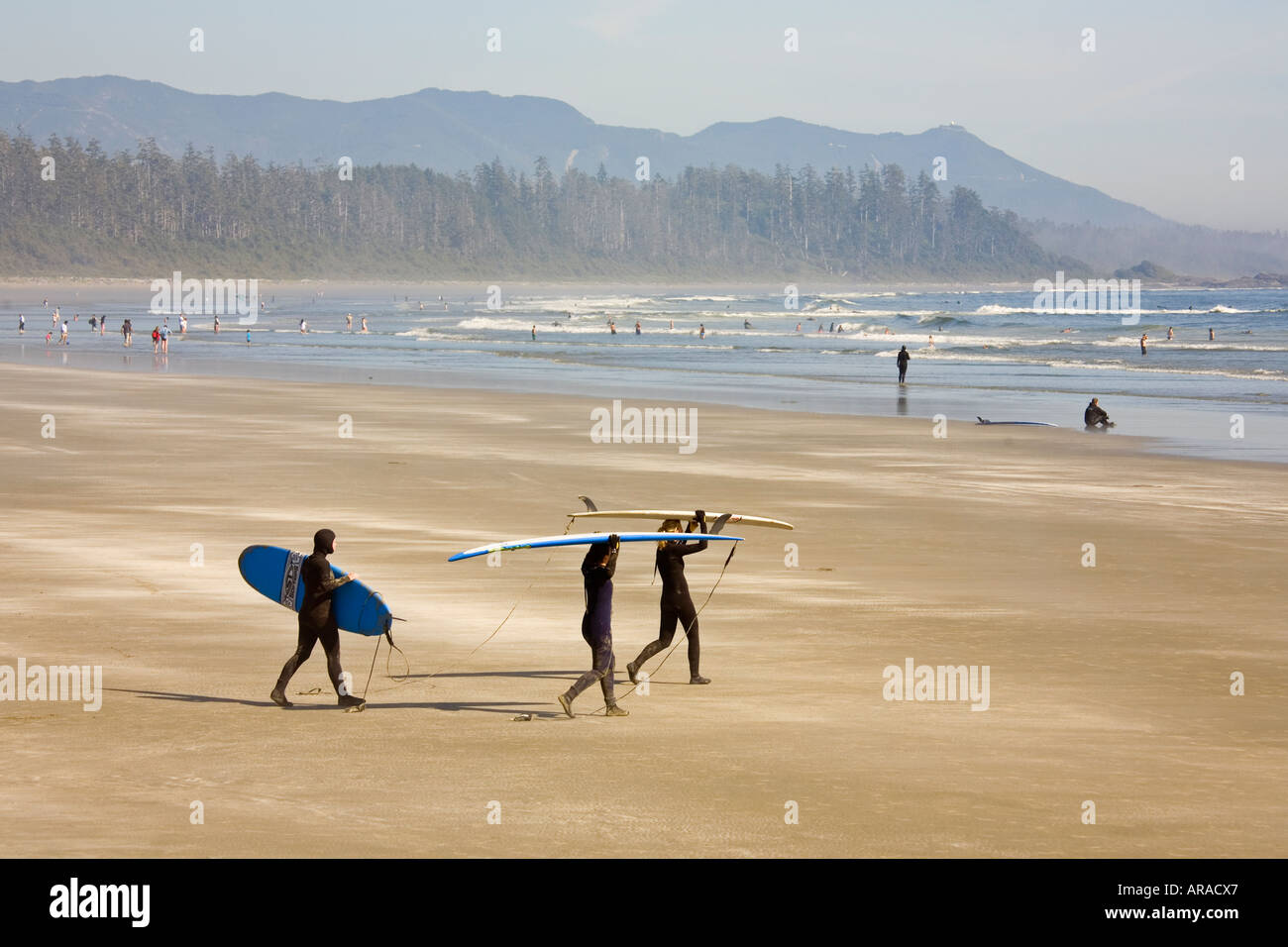Surfers carrying boards on Long Beach Pacific Rim national park reserve Vancouver island Canada Stock Photo