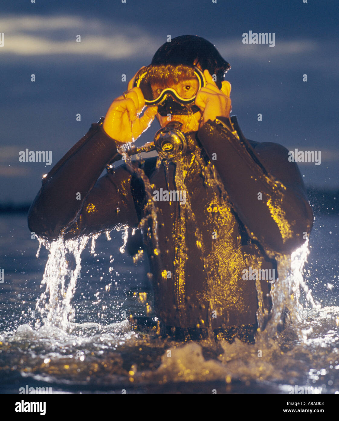 Skin diver hires stock photography and images Alamy