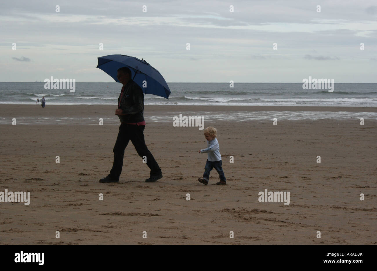 A man walking on the beach with an umbrella is followed by his toddler grandson mimicking his steps. Stock Photo