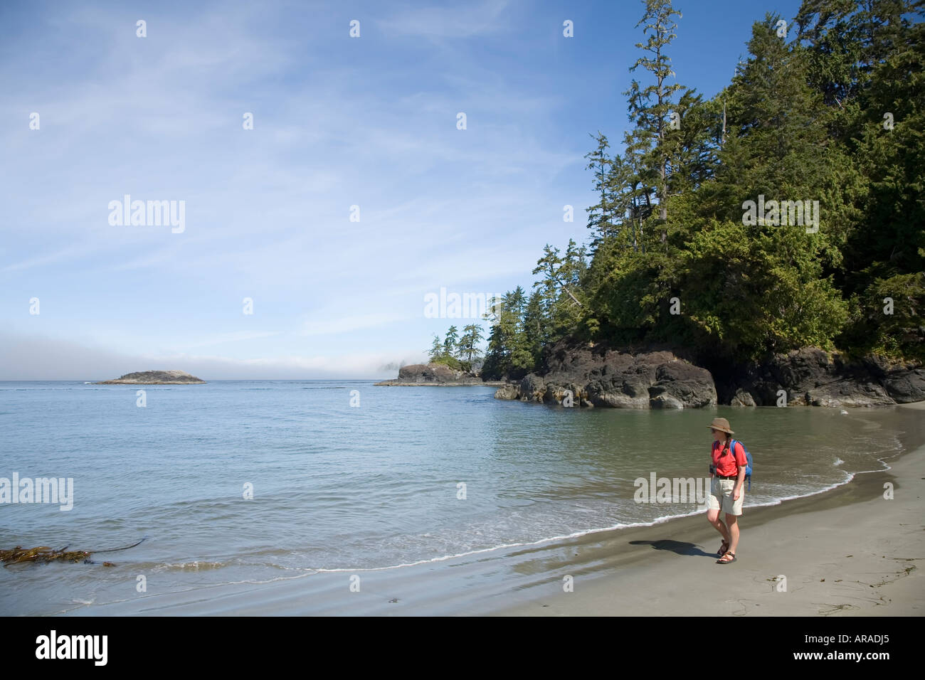 Woman on beach Halfmoon Bay with coastal fog Pacific Rim national park reserve Vancouver island Canada Stock Photo