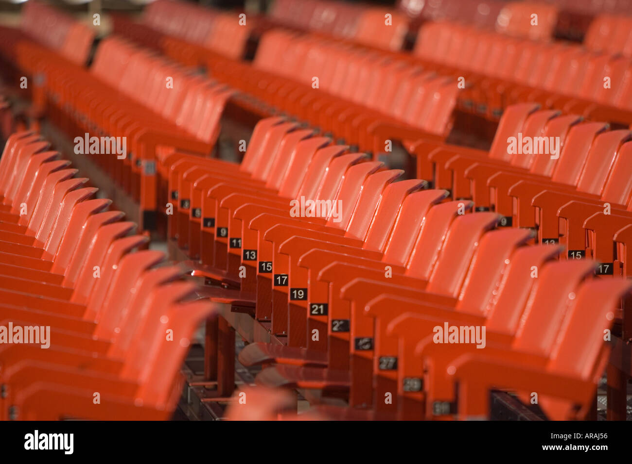 Italy italian italia verona seat arena seating outdoors outside theatre