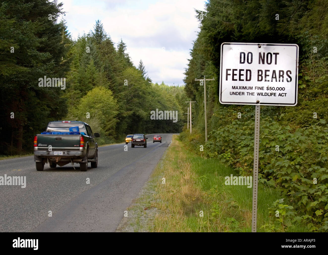 roadside-bears-hi-res-stock-photography-and-images-alamy