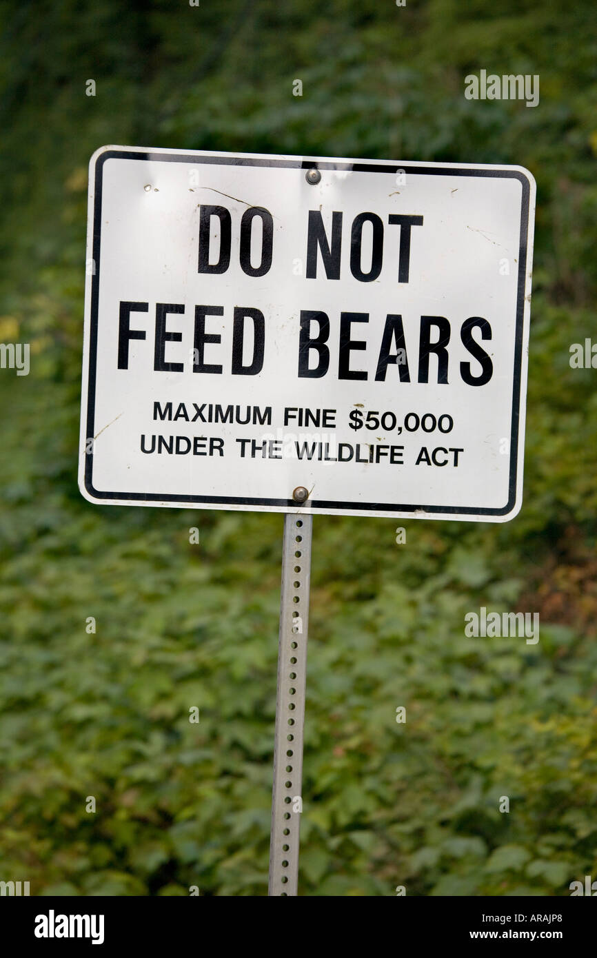 do-not-feed-bears-warning-sign-on-roadside-northern-vancouver-island-canada-stock-photo-alamy for Don T Feed The Bears Sign Printable Free Do not feed bears warning sign on roadside northern Vancouver island Canada Stock Photo - Alamy for Don T Feed The Bears Sign Printable Free