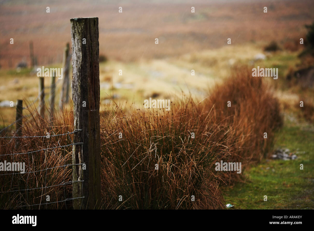 Sheep Farm Fencing Post in Connemara County Galway Republic of Ireland