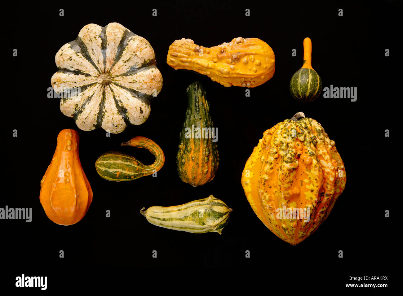 Squash family hi-res stock photography and images - Alamy