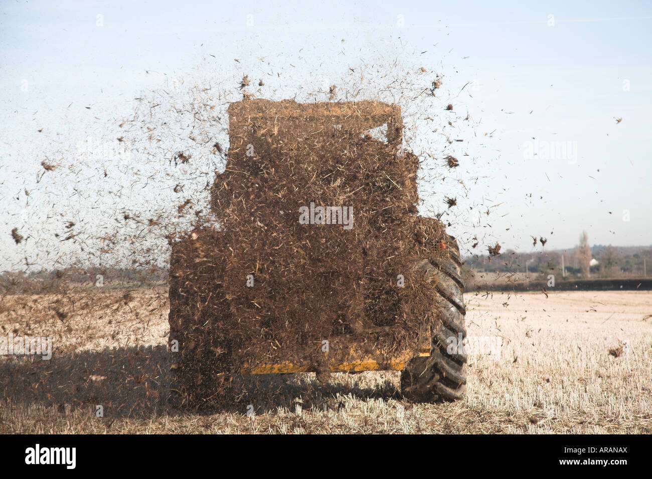 Rear view of tractor muck spreading over field of stubble Suffolk England UK Stock Photo Alamy