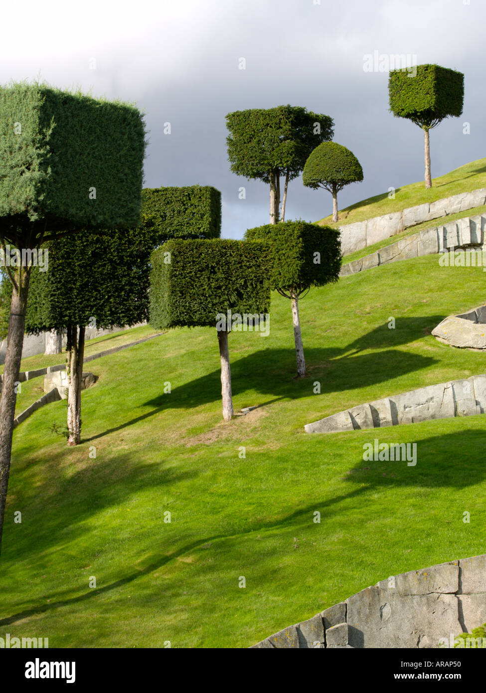 Surreal landscape with cubic trees Eurodisney Paris France Stock Photo