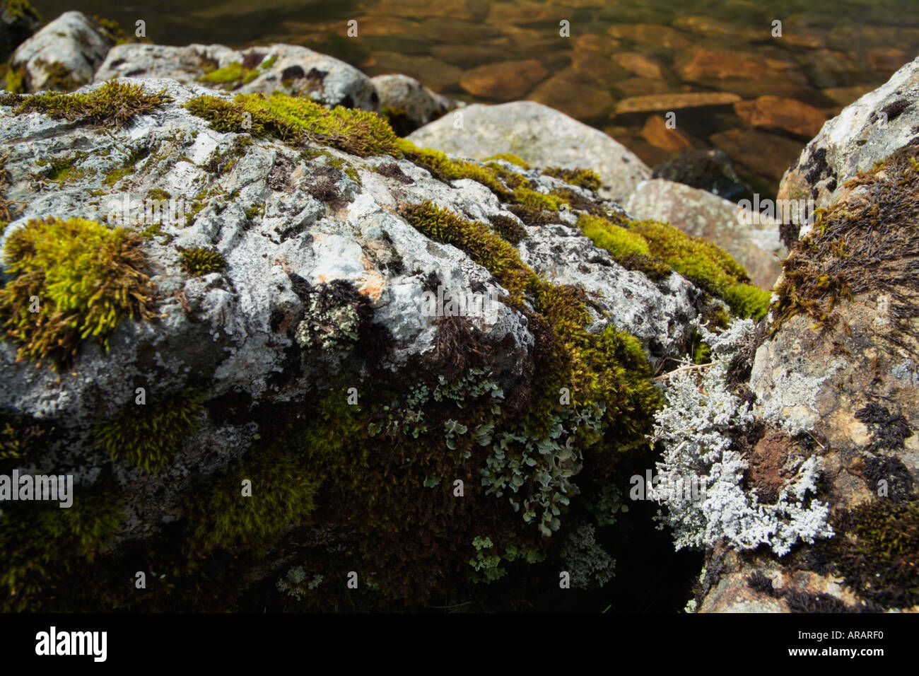 Lichen on rock rocks hi-res stock photography and images - Alamy