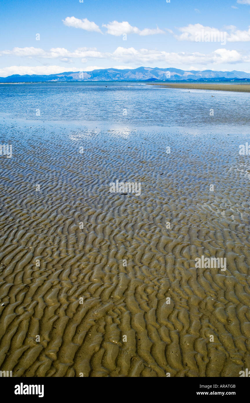 sandy beach at low tide, Collingwood, Golden Bay, New Zealand Stock