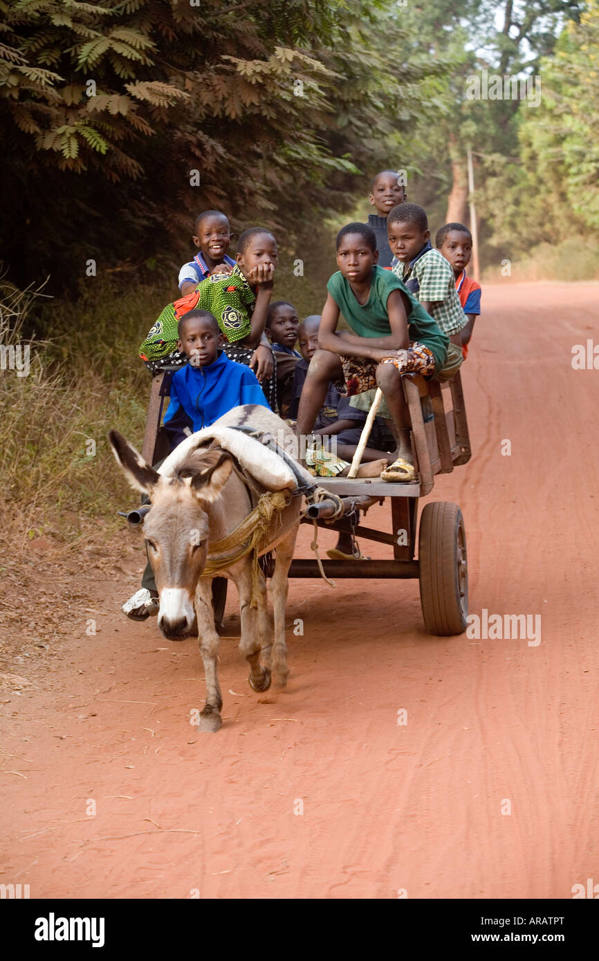 children traveling on a donkey and cart in Malawi, Uganda Stock Photo