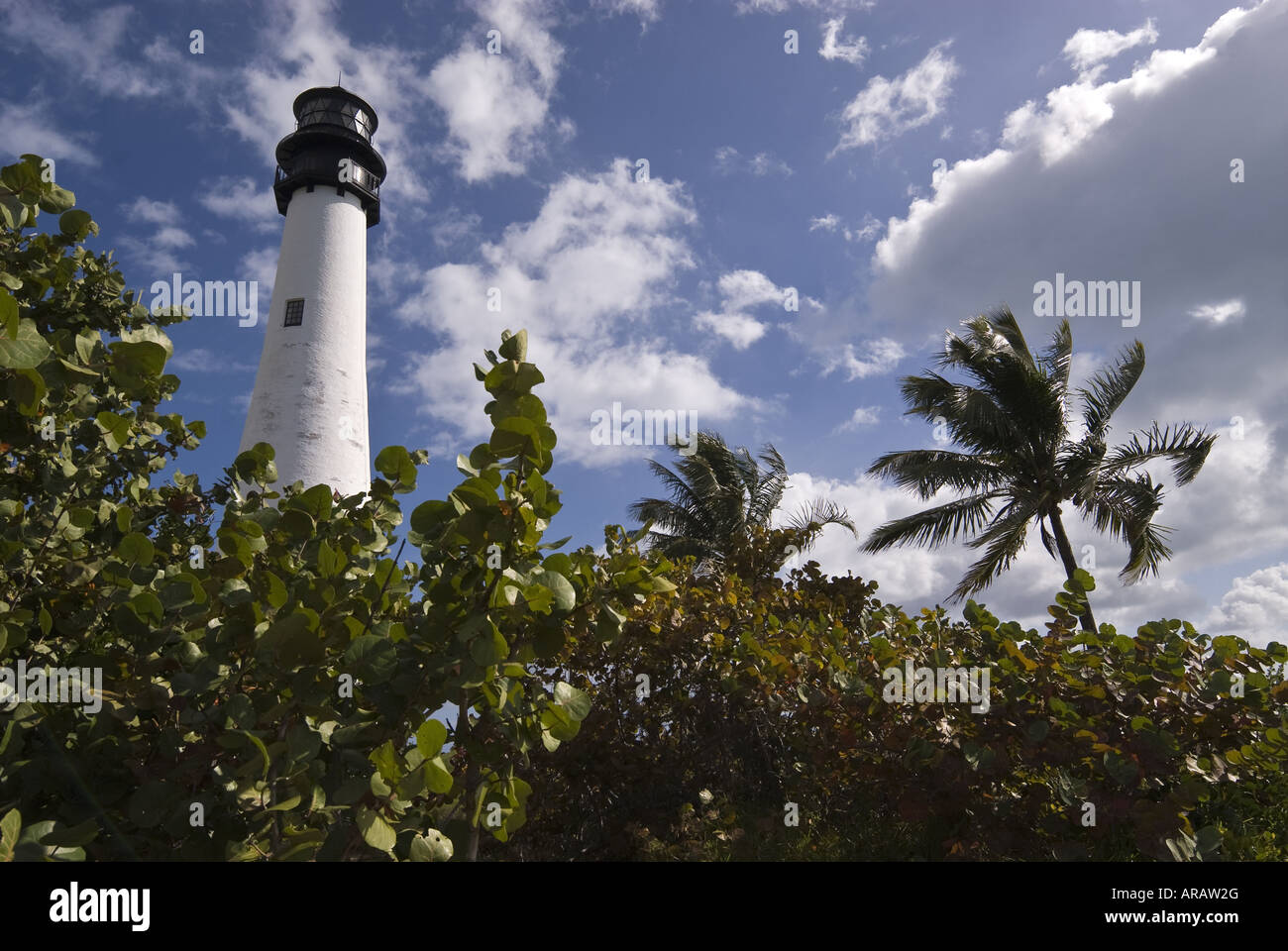 Horizontal miami florida summertime hi-res stock photography and