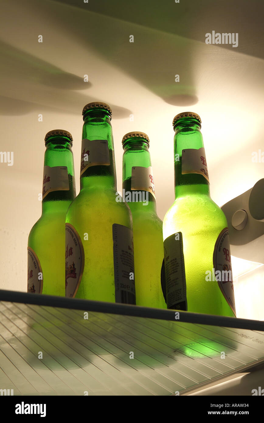 beer bottles on glass shelf in fridge Stock Photo Alamy