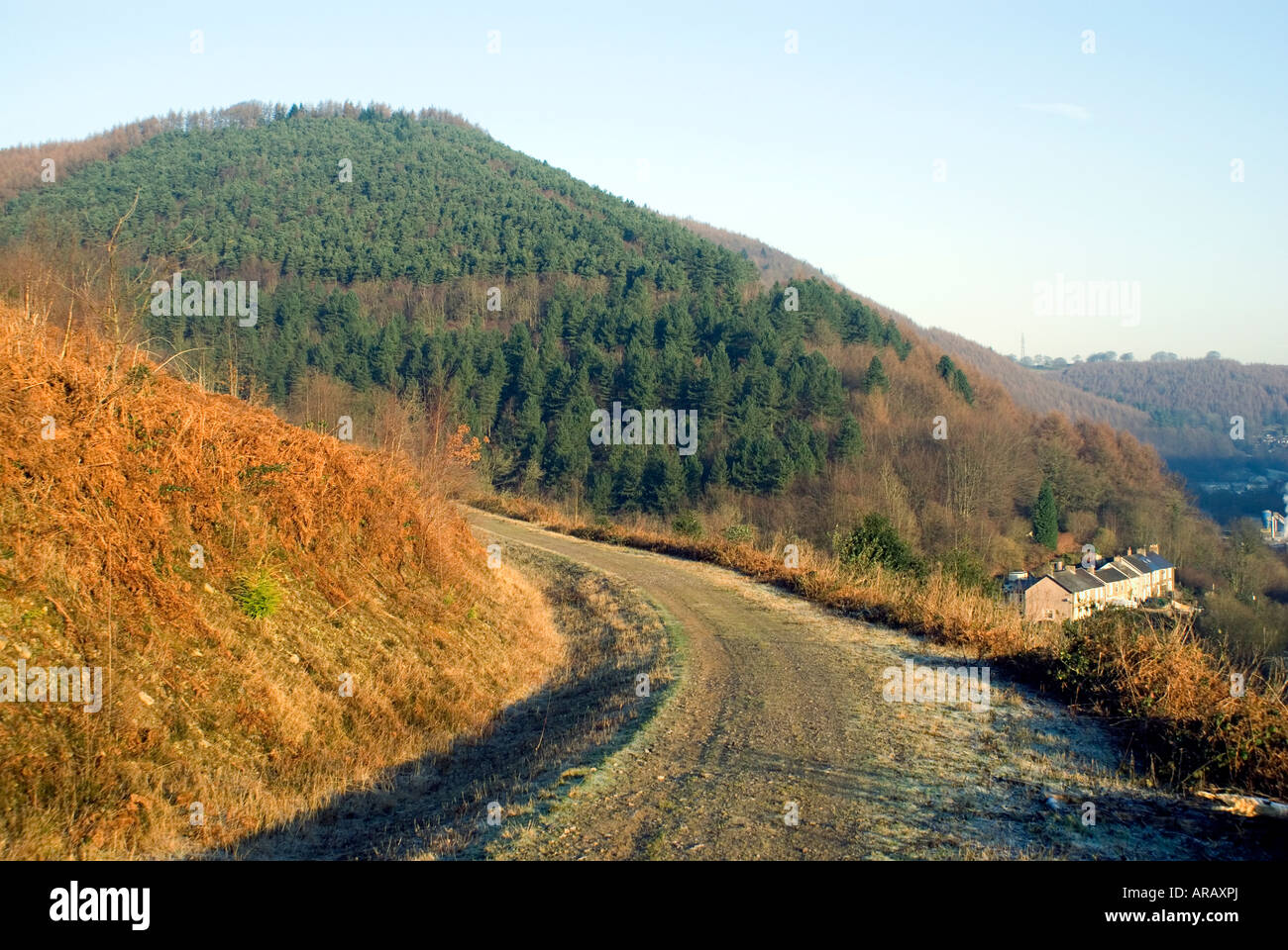 Forest road, Two Rivers Walk, Cwmcarn, Ebbw Valley, Gwent, South Wales