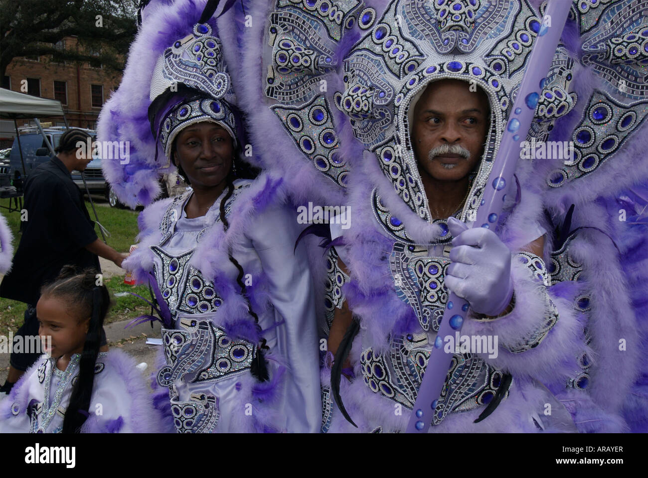 mardi gras indian book