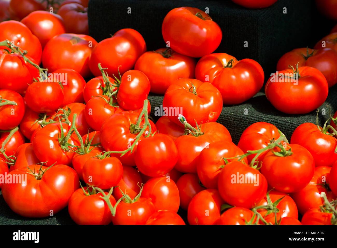 Market fresh red tomatoes Stock Photo - Alamy