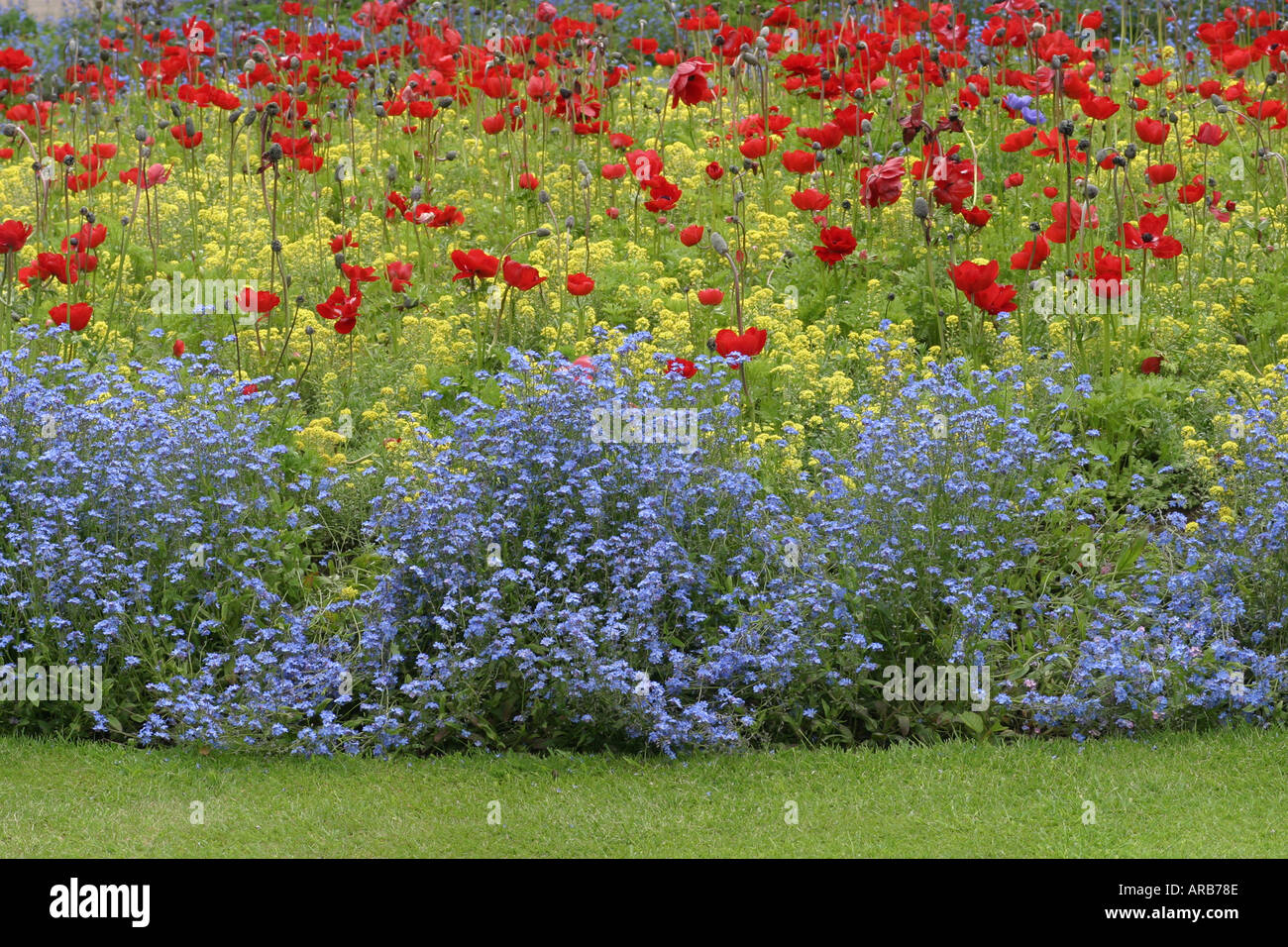 Wildlife garden flowers hi-res stock photography and images - Alamy