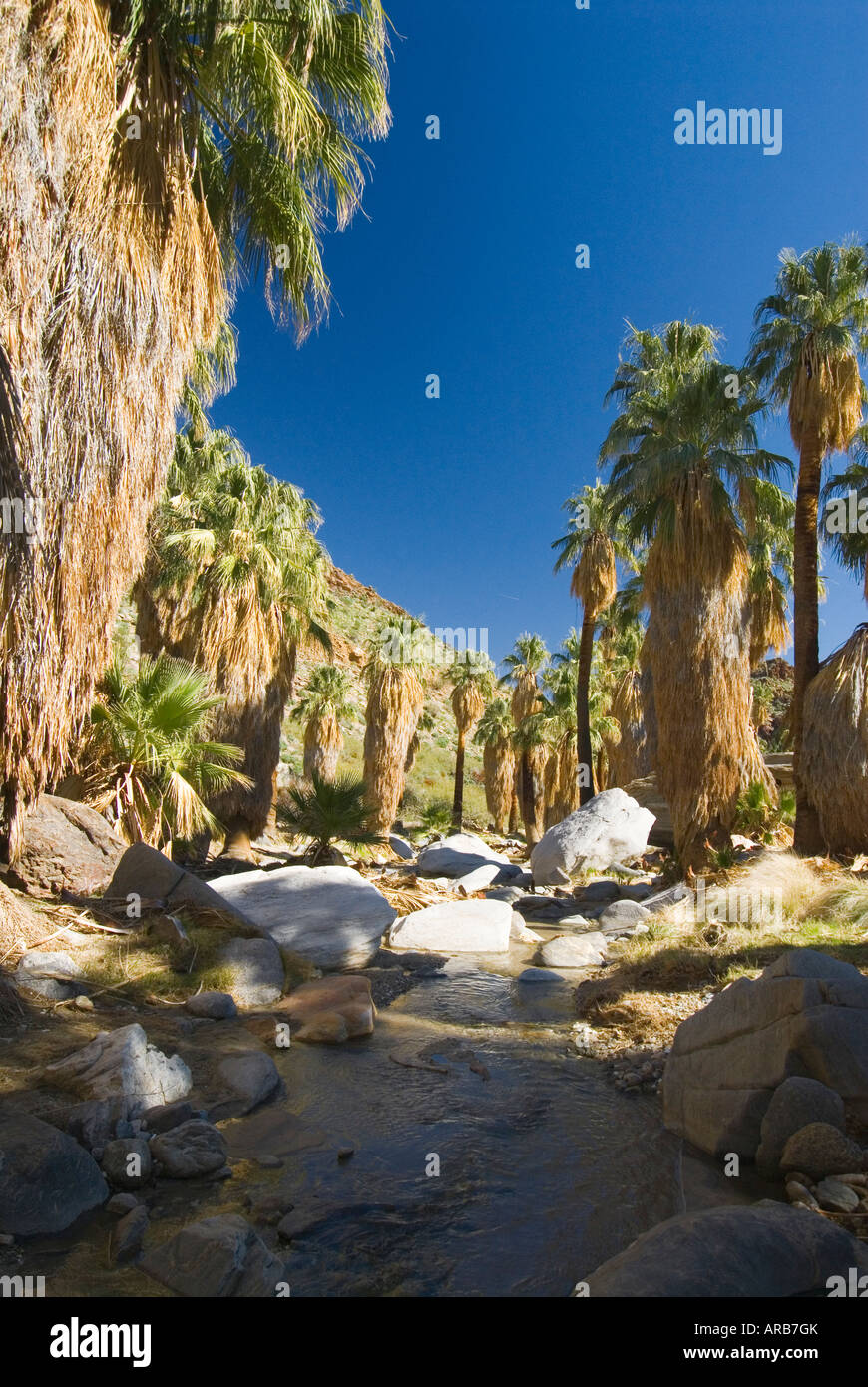 seasonal stream Indian Canyons Agua Caliente Cahuilla Indian ...