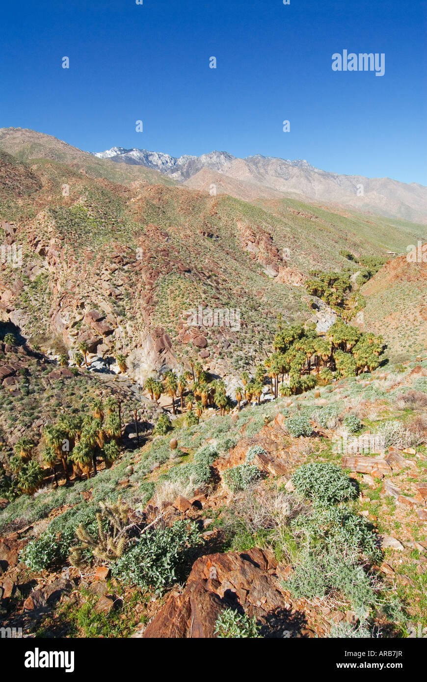 Indian Canyons Agua Caliente Cahuilla Indian Reservation Palm Springs California Stock Photo Alamy