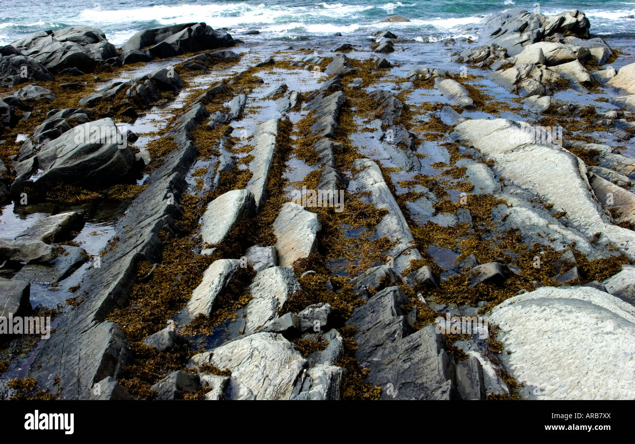 Lobster Cove Head Newfoundland Canada July Gros Morne National Park Stock Photo