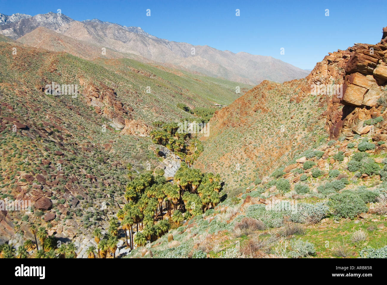 Indian Canyons Agua Caliente Cahuilla Indian Reservation Palm Springs California Stock Photo Alamy