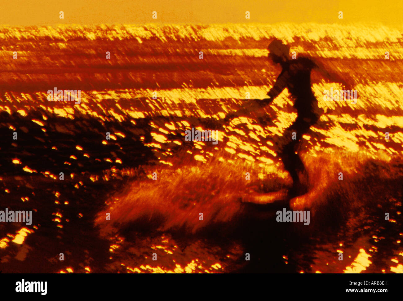 Surfer in motion riding the waves at sunset Stock Photo