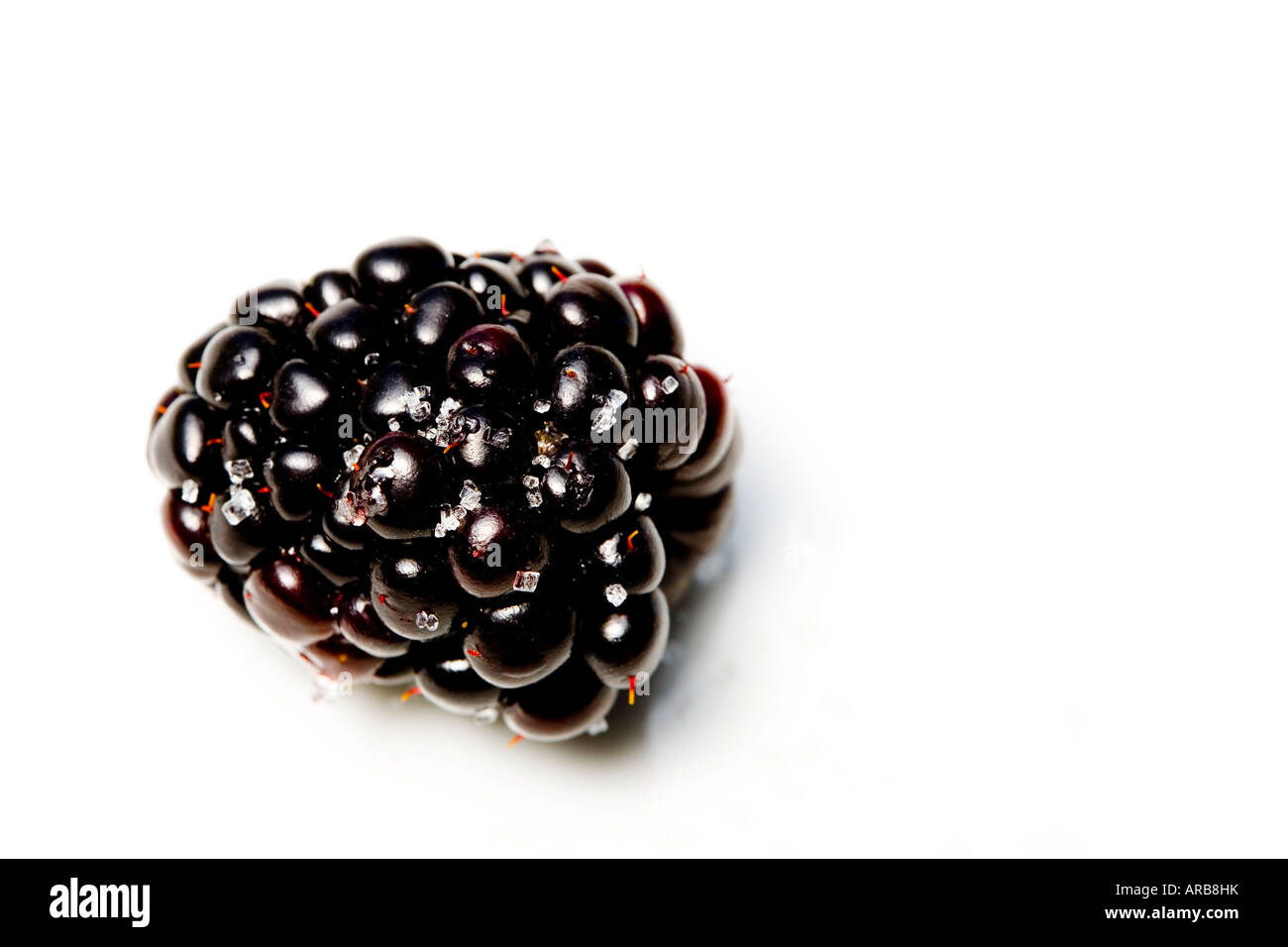 Blackberry closeup macro Stock Photo