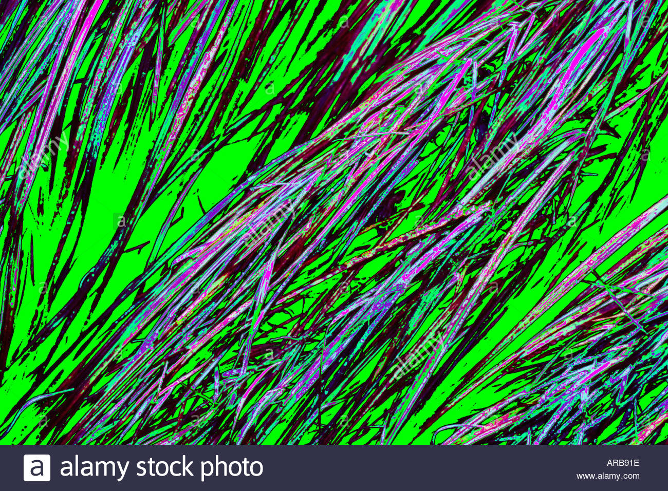 Field Grass abstract Stock Photo