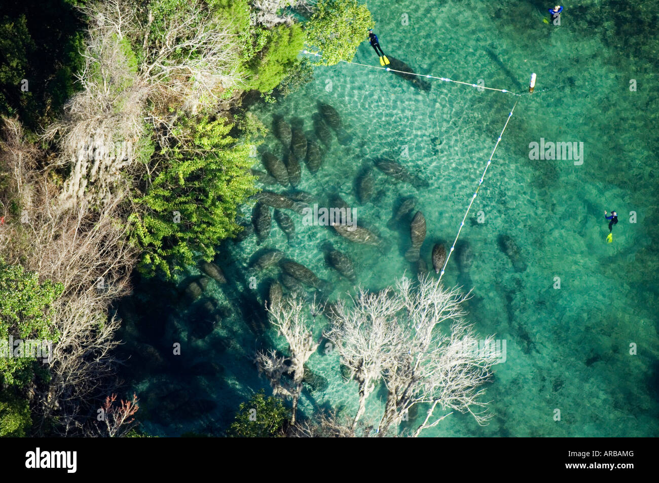 Crystal river florida aerial hi-res stock photography and images - Alamy