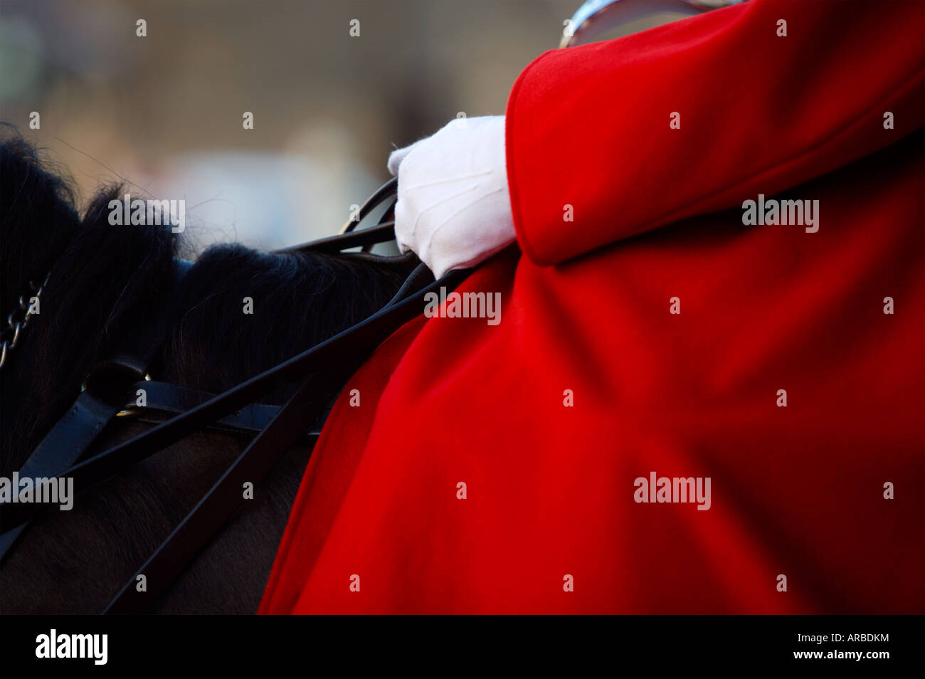 Soldier cavalry hi-res stock photography and images - Alamy