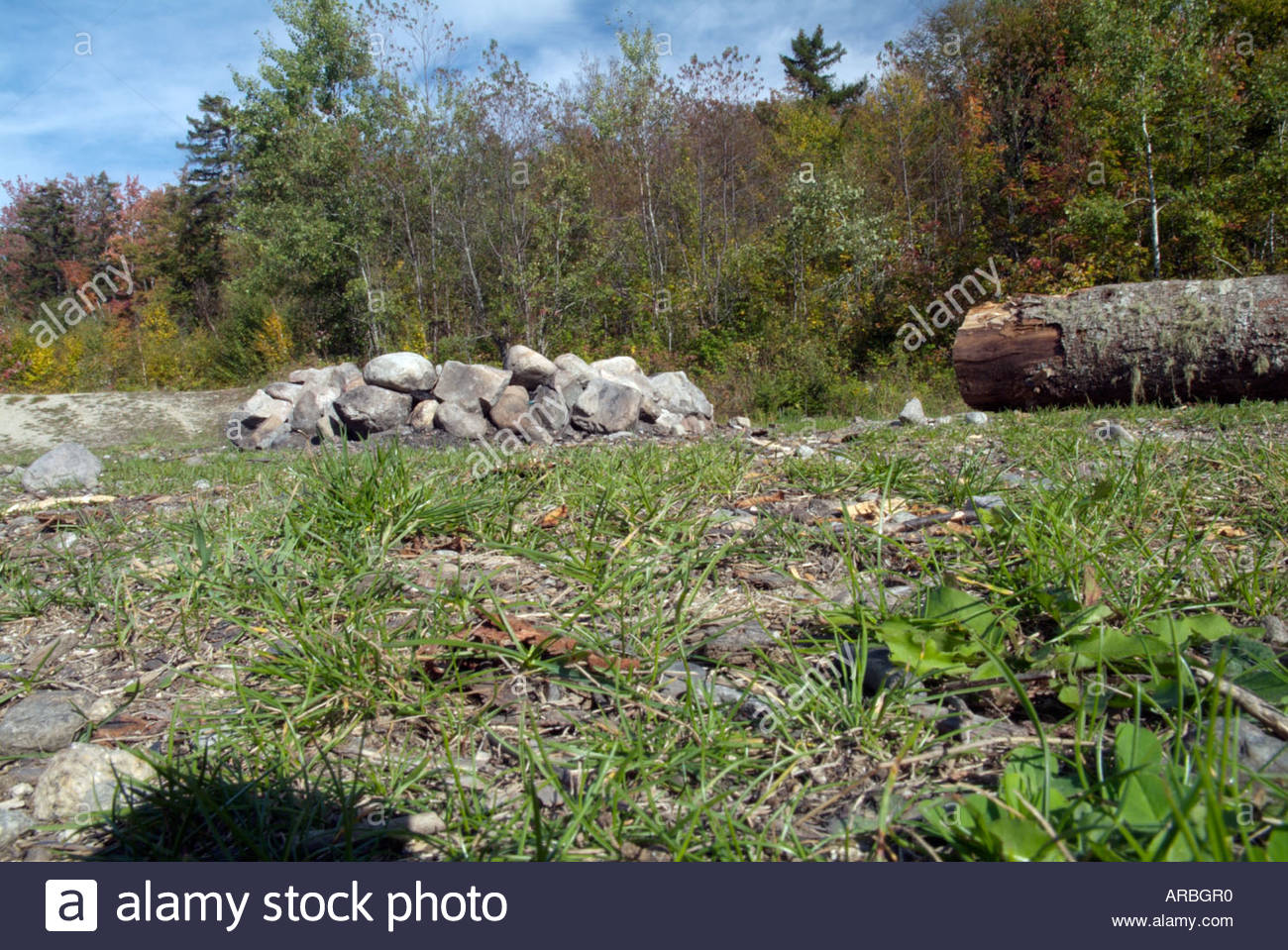 A Fire Pit From Ground Level In A White Mountain National Forest