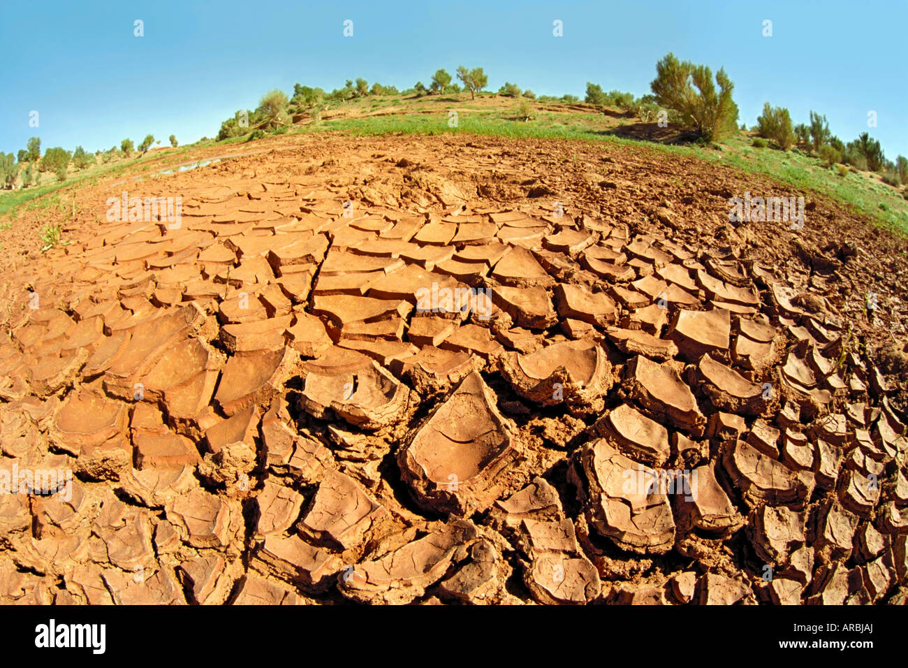 Erosion arid soil. Bayan Zag, Gobi desert, Gurvansaikhan national park, Mongolia Stock Photo