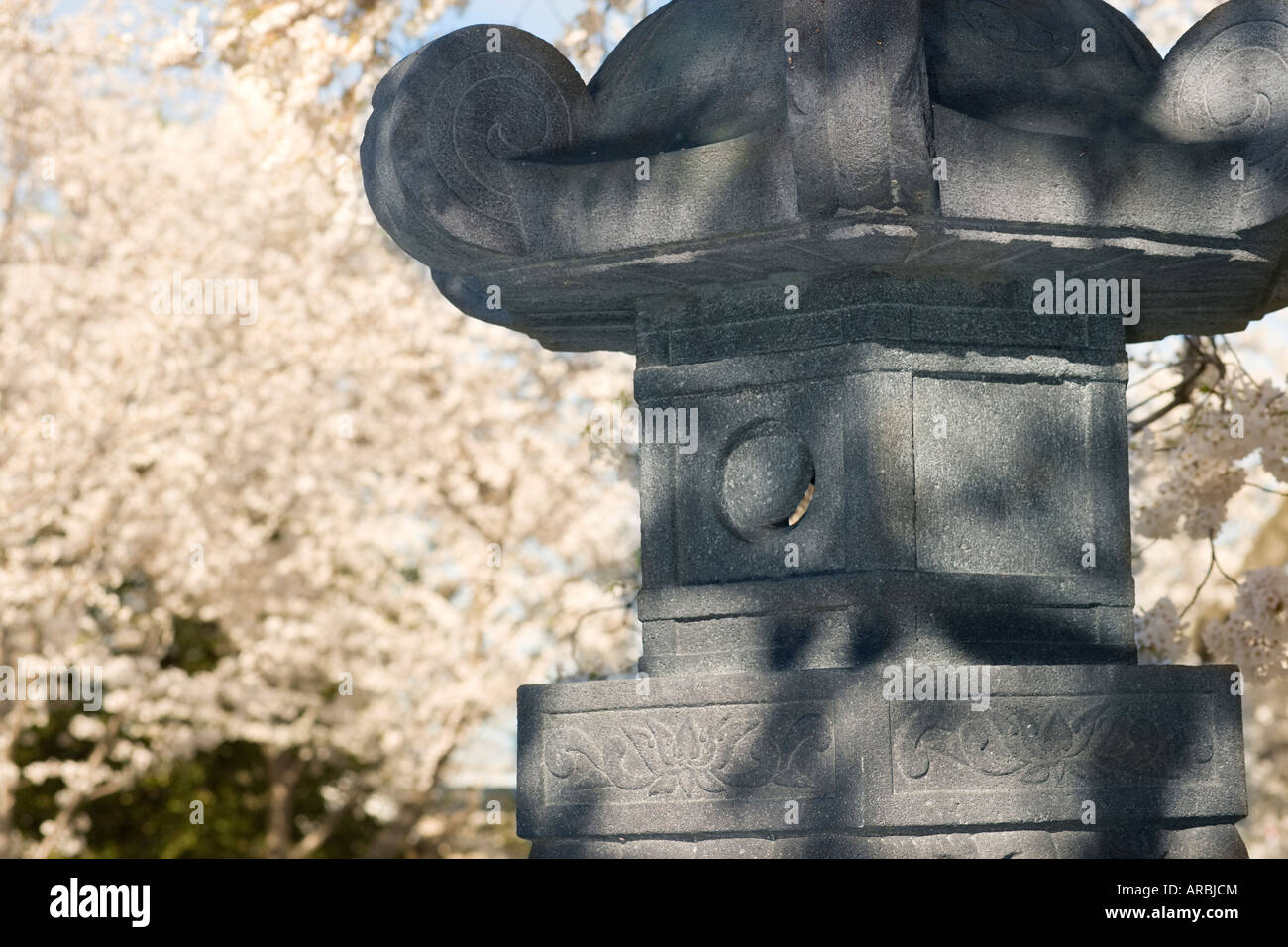 The Japanese Lantern with cherry blossoms in spring. National Cherry Blossom Festival, Tidal Basin, Washington DC Stock Photo