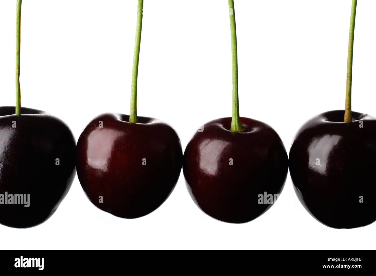 Cherries in a row on white background Stock Photo