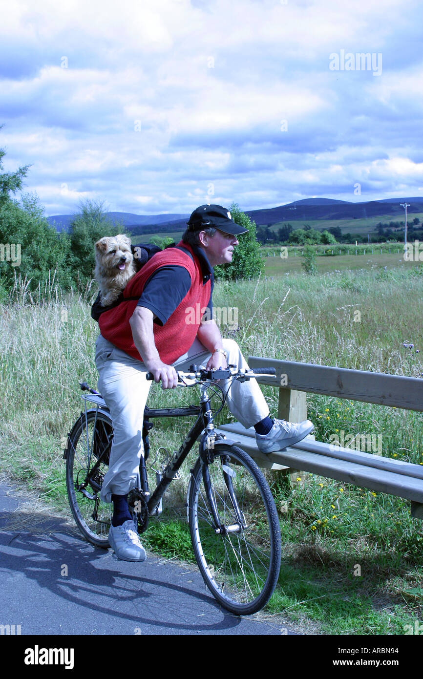Man on bicycle with small dog, Norfolk Terrier, in a rucksack on his back Stock Photo