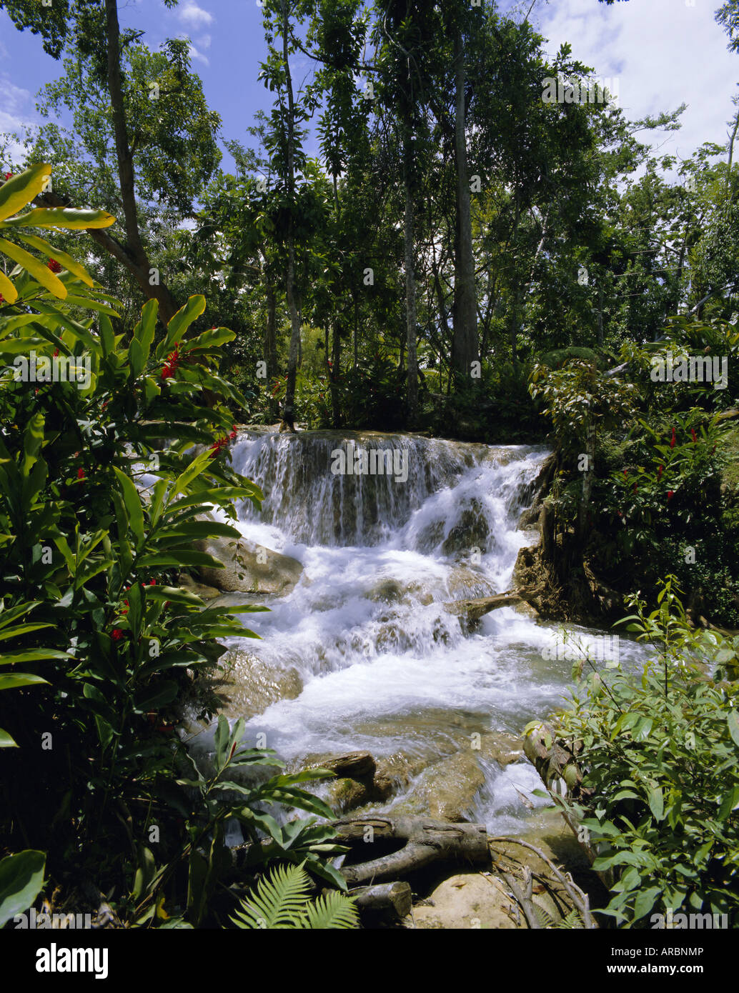 Dunns River Falls, Jamaica, Caribbean, West Indies, Central America Stock Photo