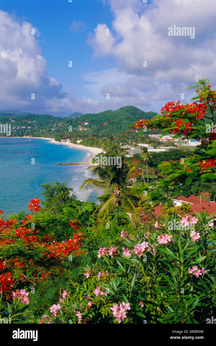 Grand Anse Beach, Grenada, Caribbean, West Indies Stock Photo
