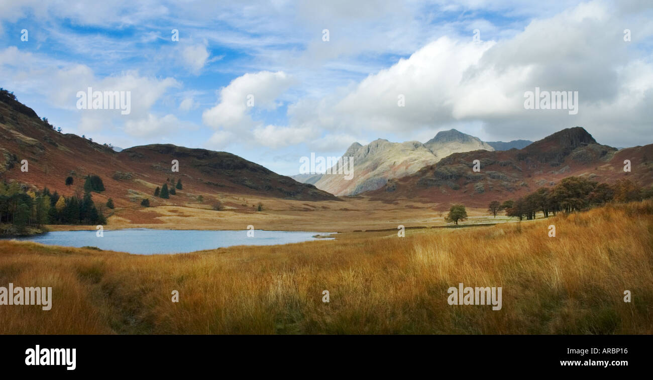 The Langdale Pikes seen across Blea Tarn The Lake District Cumbria England Uk Stock Photo