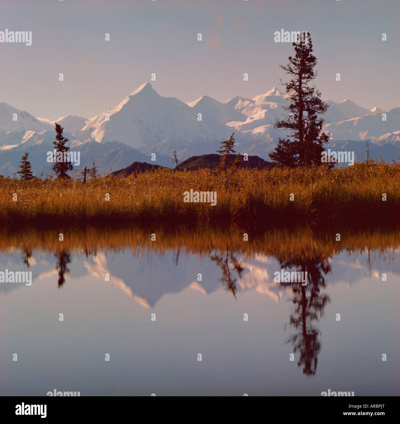 Mount Brooks, McKinley Park, Alaska, USA, North America Stock Photo