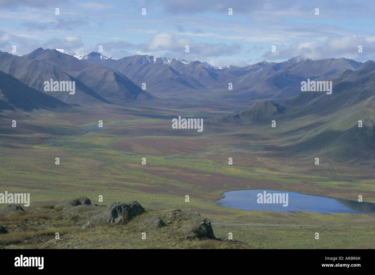 North of Dawson City, Ogilvie Mountains, Yukon, Canada, North America Stock Photo