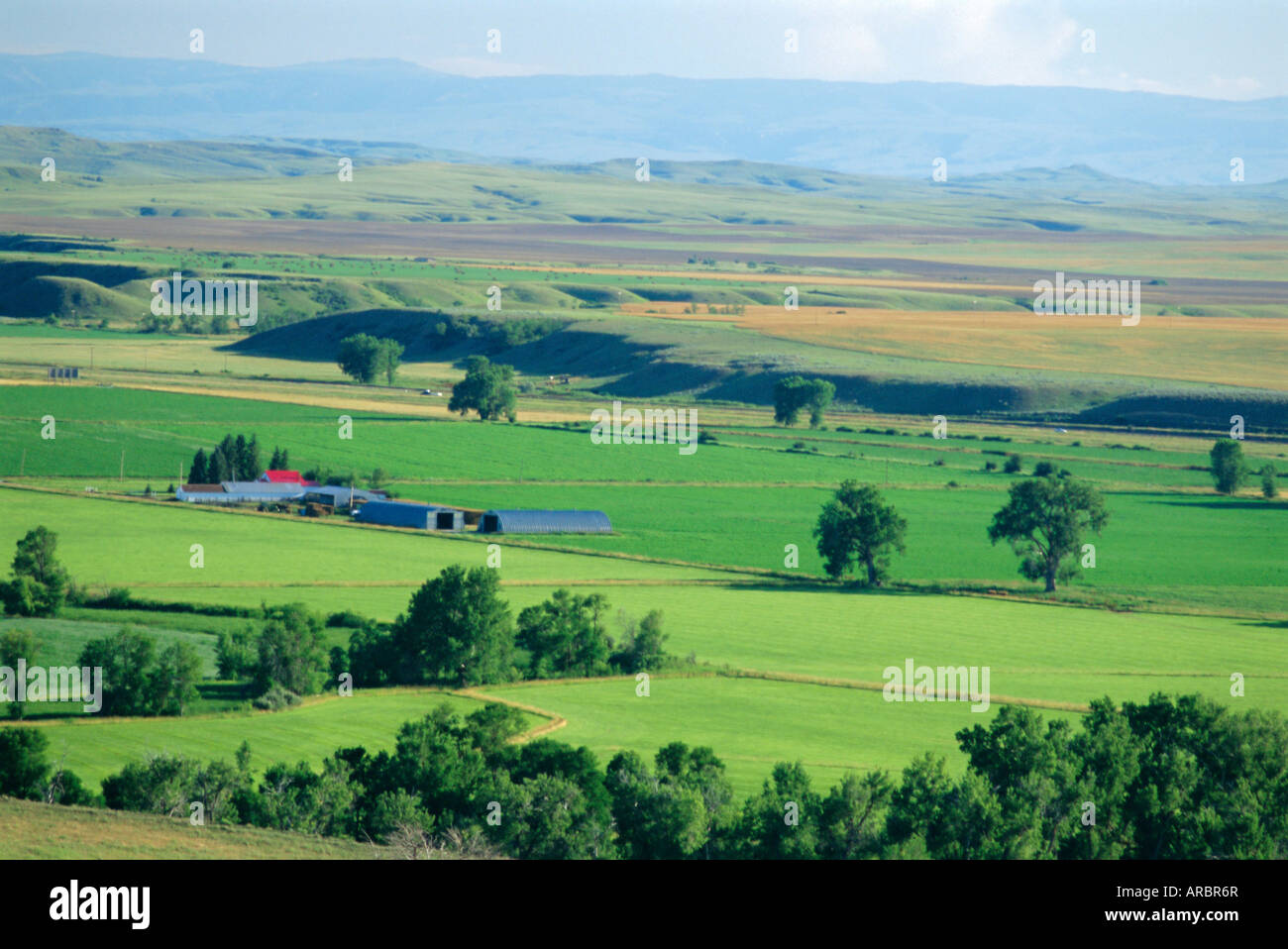 The great grasslands valley of the Little Bighorn River, near Billings