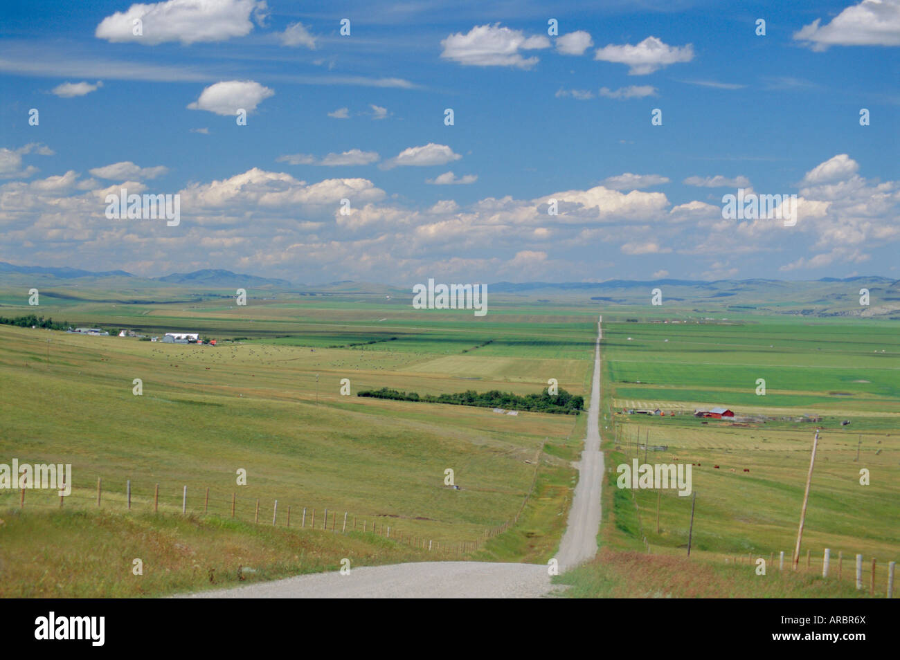 Road across prairie wheatlands, south of Calgary, Alberta, Canada Stock Photo