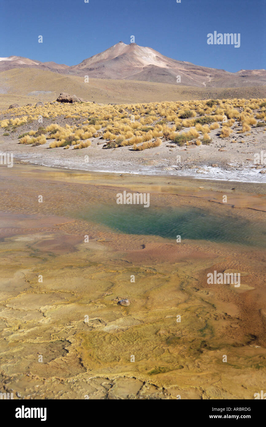 El Tatio geyser basin on altiplano, boiling pool with algal colour zoning, Atacama Desert, Chile, South America Stock Photo