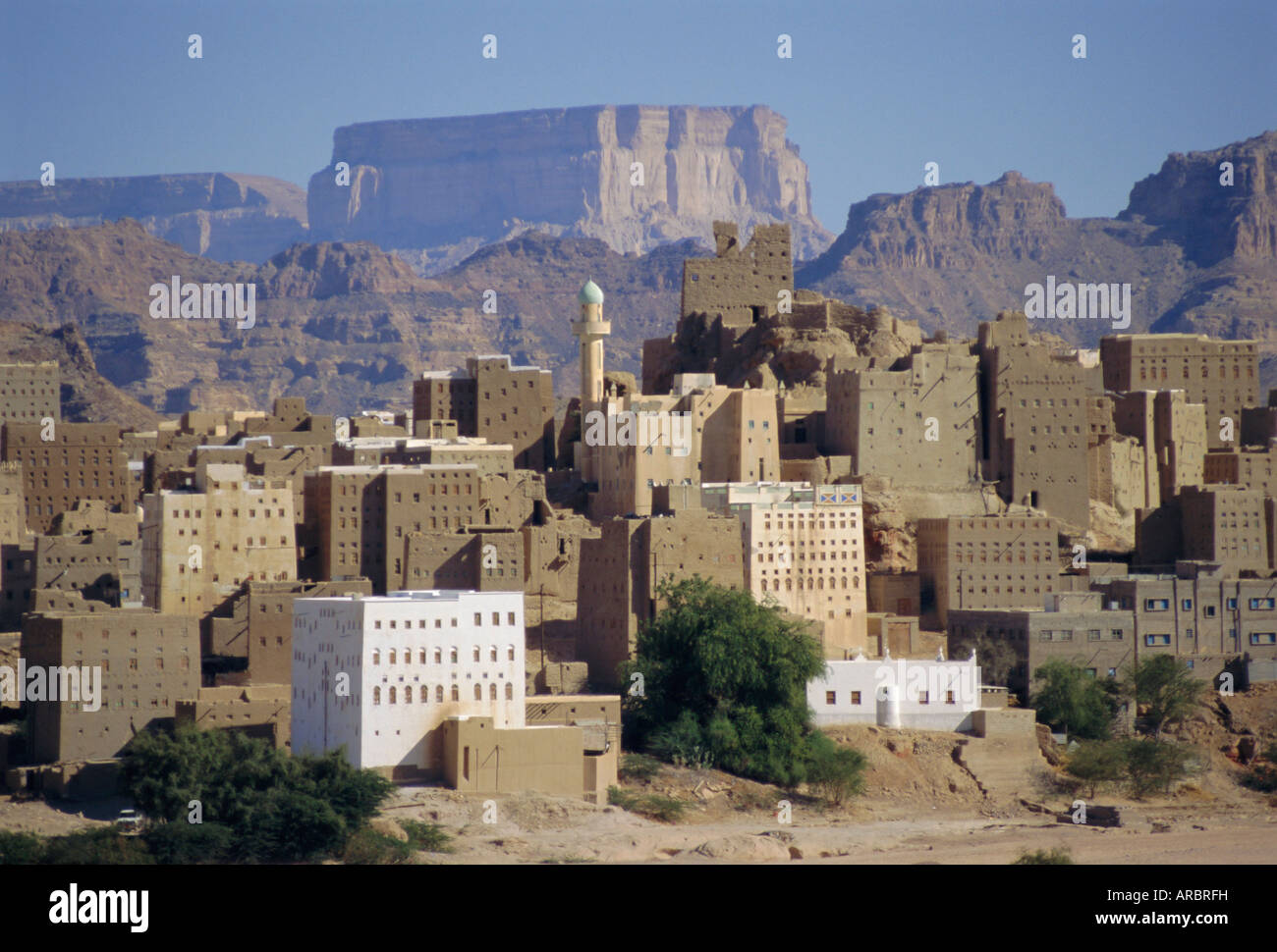 Multi-storey mud brick houses, Habban, Lower Hadramaut, Yemen, Middle East Stock Photo