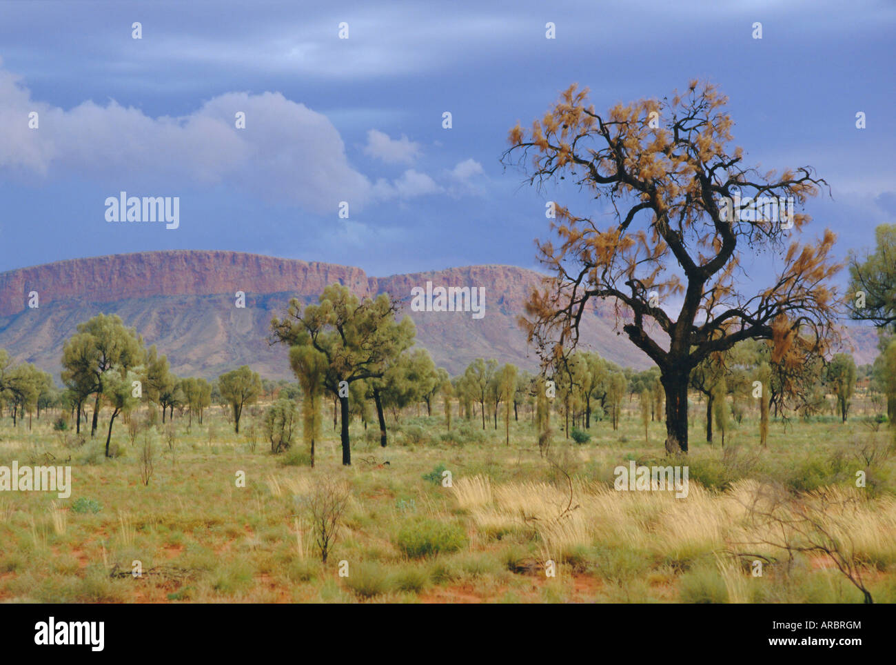 Papunya australia hires stock photography and images Alamy