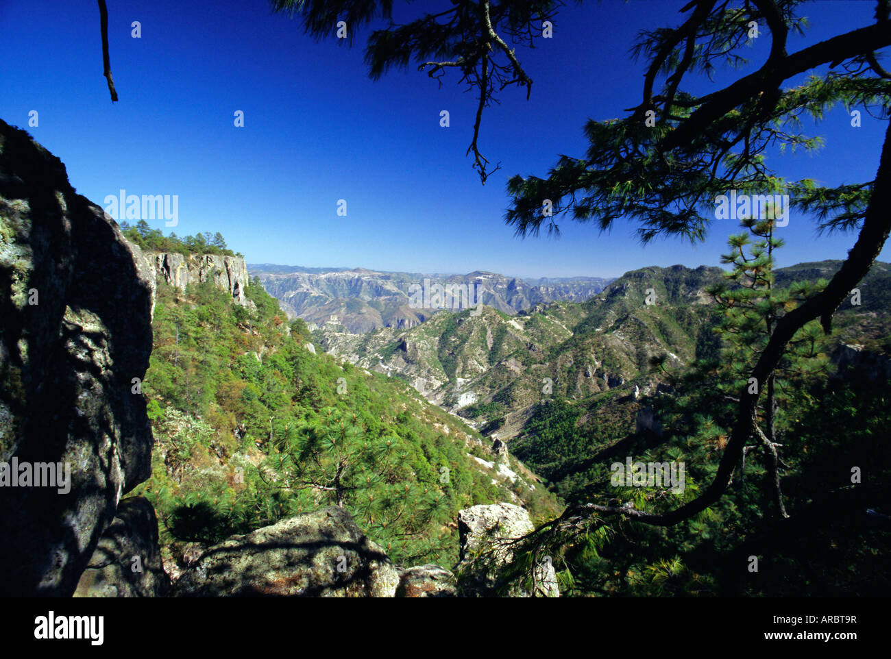 Copper Canyon, Sierra Madre Occidental, from the rim near Divisadero