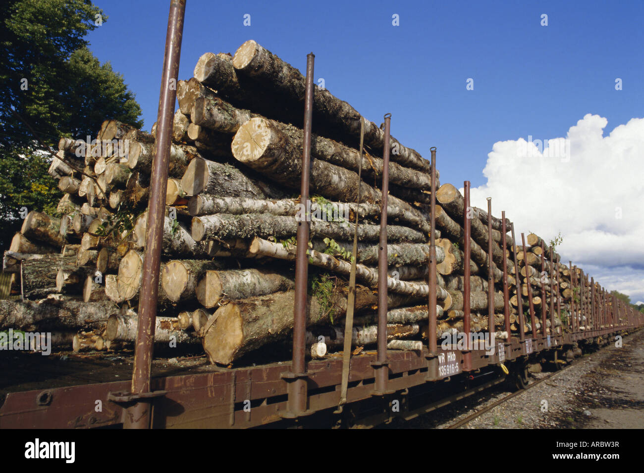 Timber logs at rail siding, Finland, Scandinavia, Europe Stock Photo