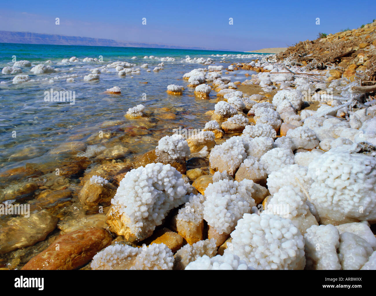 Соленое море слушать. Соленые водоемы. Мертвое море Легенда. Соленое море фото.