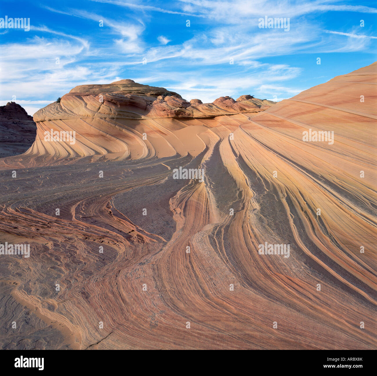 Rock formation known as Swirls on Colorado Plateau, Arizona, United States of America (U.S.A.), North America Stock Photo